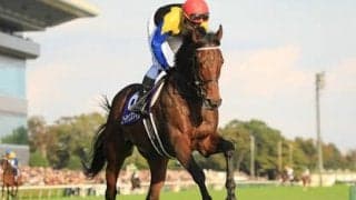 外国馬がいないジャパンＣ。実績薄いが成長著しい４歳馬２頭に期待