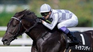 【武豊日記】ボクにとっての大一番