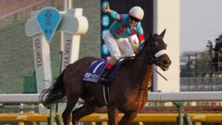 有馬記念ファン投票 第1回中間発表！