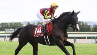 ジャパンＣで穴党記者の心をつかんだのは、勢いあるＧＩ未勝利の４頭