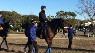 【ジャパンC】カレンブーケドール 国枝師「斤量は恵まれてる」