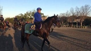 【ジャパンC】レイデオロ 藤沢和師「久しぶりにいい状態」