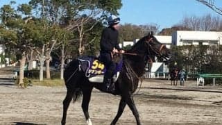 【ジャパンC】ジナンボー ムーア「進化が必要」