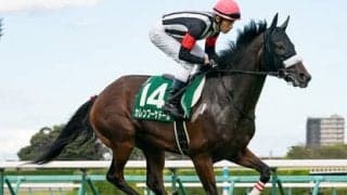 ジャパンＣは世界の名手が集うも、狙いは主戦の日本人騎手鞍上の２頭
