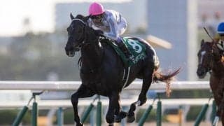 【京都2歳S】武豊マイラプソディが断然の人気に応えて無傷の3連勝！