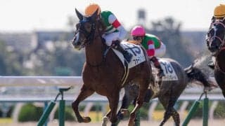 【新馬/京都5R】母シーザリオの良血馬 ファーストフォリオがデビュー勝ち！