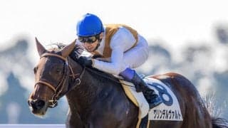 【京都2R】武豊グリンデルヴァルトが初勝利！