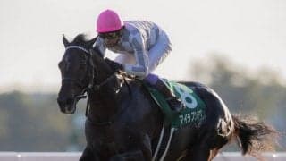 【京都2歳S】武豊「今後に繋がるレースは出来た」マイラプソディが無傷の3連勝！