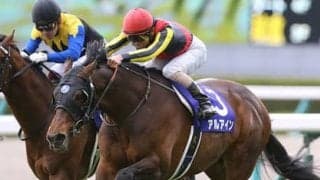 「クラシックに乗せたい」池江厩舎が絶大な期待を寄せるヒメノカリス