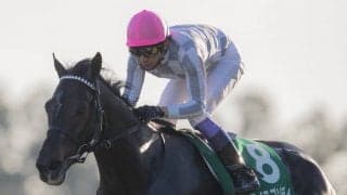 【京都2歳S】武豊「一瞬手応えがない感じがした」レース後ジョッキーコメント