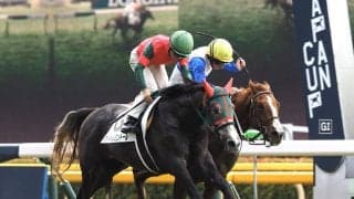 【東京3R】オルフェーヴル産駒 マイネルミンドールが初勝利！