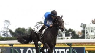 【新馬/東京5R】ディープ産駒 バルトリが抜け出して快勝！