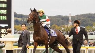 【ジャパンC】ビュイック「良馬場で改めて…」レイデオロは11着大敗