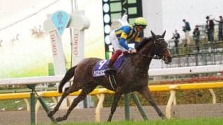 【ジャパンC】デットーリ「重い馬場が合いませんでした」ルックトゥワイスは見せ場なく敗退