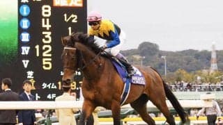 【ジャパンC】武豊「これしかないというレース」マカヒキは健闘の4着