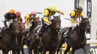 【ウェルカムS】岩田望騎乗ヴァンドギャルドが差し切りV！