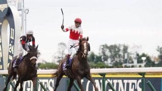 【ジャパンC】スワーヴリチャードが復活の勝利！売り上げ入場人員共に前年比ダウン