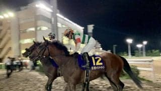 【チャンピオンズC】登録馬と見どころ クリソベリルなど