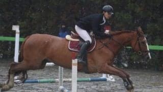 悲願の優勝ならず