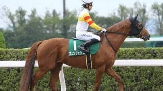 チャンピオンズＣは「中京ダート最強配合」の遅咲き馬が重賞連覇か