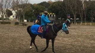 【ステイヤーズS】オジュウチョウサン 和田郎師「キレ勝負にならなければ」