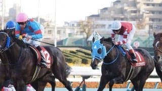 【ステイヤーズS】デムーロ「瞬発力が必要な馬場」オジュウチョウサン見せ場十分の6着