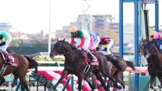 【ステイヤーズS】蛯名「去年に比べると速い」昨年の覇者リッジマンは11着大敗