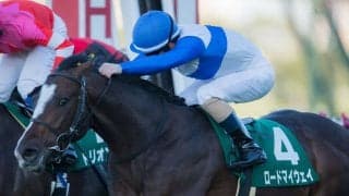 【チャレンジC】ルメール「最後は一生懸命」ロードマイウェイが5連勝で重賞制覇！
