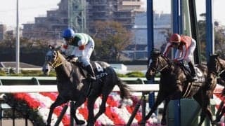 【葉牡丹賞】グランデマーレがデビュー2連勝！