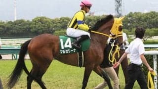 マルセリーナの子、ヒートオンビートは放牧を経て「よくなってきた」