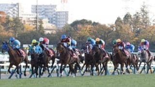 【ステイヤーズS】オジュウ6着！デムーロ「最後は疲れてしまった」レース後ジョッキーコメント