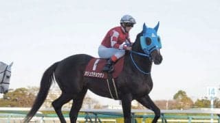 【ステイヤーズS】売り上げ前年比大幅増！オジュウチョウサン参戦