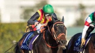 【チャンピオンズC】ルメール「勝ち馬が強かった」ゴールドドリームは惜しい2着