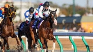 【チャンピオンズC】武豊「直線で突き離したかったのですが…」レース後ジョッキーコメント