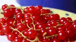 クランベリーの驚くべき効果効能