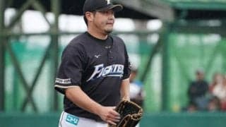 巨人、前日ハム田中豊＆前楽天八百板と育成契約　球団発表