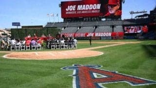 【MLB】エンゼルス、2050年までアナハイム市を本拠地に　新球場建設の可能性も