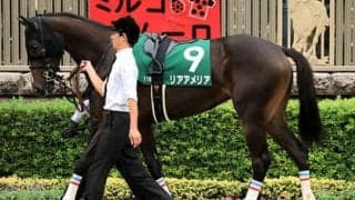 阪神ＪＦは「スター候補」が本命。良血馬が強いレースで血統も万全だ