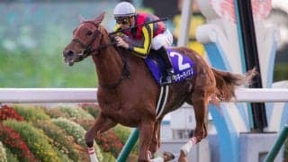 【香港ヴァーズ】出馬表が確定