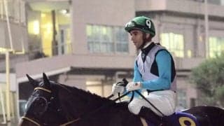 【クイーン賞】JRA出走予定馬