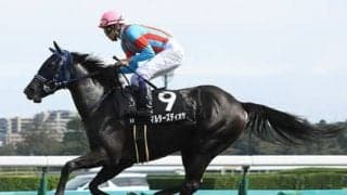 阪神JFはそろそろ荒れる。過去の激走３パターンから導いた穴馬３頭