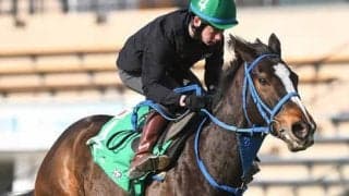 香港のＧⅠ４レースに９頭の日本馬が参戦。その状態と本命・穴馬は？