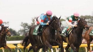 【阪神JF】枠順と見どころ リアアメリアは8枠15番