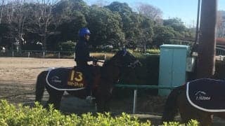 【阪神JF】マルターズディオサ 鋭い決め手が持ち味