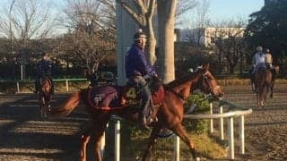 【阪神JF】オータムレッド 実績ある右回りで…