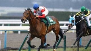 ダノンチェイサーの妹、アクニディは馬体重370㎏も「終いは伸びる」