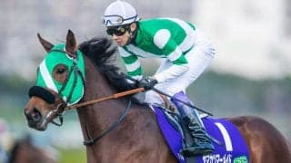 【阪神JF】武豊「状態すごく良かった」ヤマカツマーメイドは5着