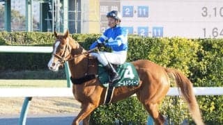 【カペラS】古川「行きっぷりが…」ゴールドクイーンは直線失速5着