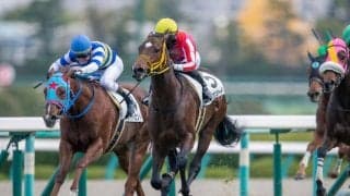 【新馬/阪神5R】アメリカンシードがデビューV！2番手から抜け出して快勝