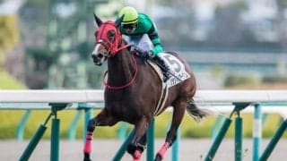【新馬/阪神4R】グランマリアージュが逃げ切り！デビューV